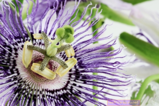 Passiflora incarnata: ما الغرض منه ، وكيفية تناوله ، والآثار الجانبية