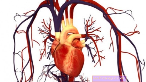 9 أمراض القلب والأوعية الدموية الأكثر شيوعًا