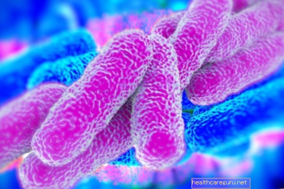KPC superbacteria: ما هي ، الأعراض والعلاج