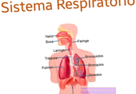 أمراض الجهاز التنفسي: ما هي وأعراضها وماذا تفعل