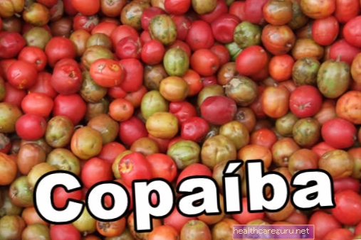 Copaíba: ما الغرض منه وكيفية استخدامه