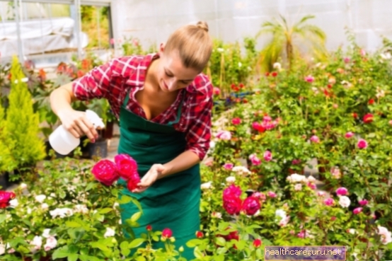 4 مبيدات حشرية طبيعية لقتل حشرات المن على النباتات والحدائق